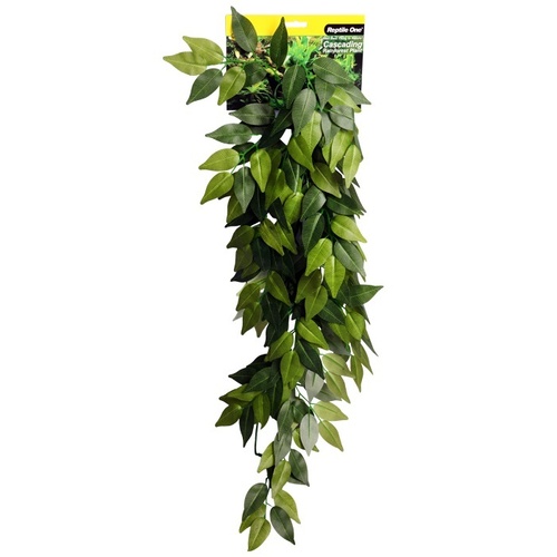 Reptile One Varigated Ivy Cascading Plant - Green - 72cm