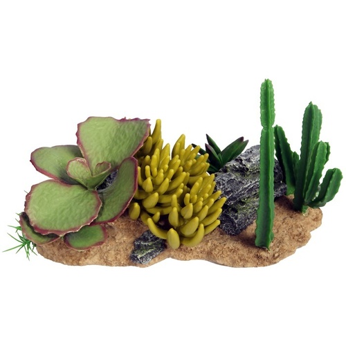 Reptile One Succulent Garden with Resin Base - 30cm x 16.5cm x 17.5cm