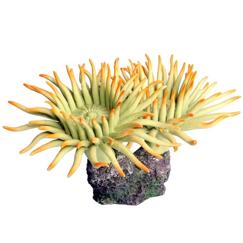 Aqua One Copi Coral Twin Amemone Ornament (23.5x17.5x15.5cm)