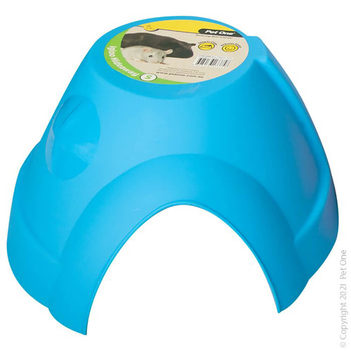 Pet One Igloo Hideaway for Guinea Pigs - Blue - Small