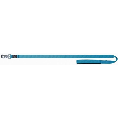 Prestige Pet Soft Padded Nylon Dog Leash - Turquoise (19mm x 183cm)