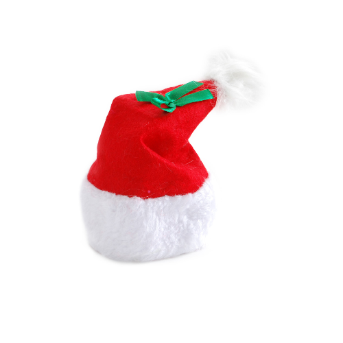 All Pet Christmas Santa Hat