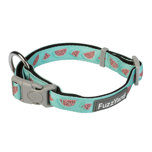 FuzzYard Dog Collar - Summer Punch - Medium (20mm x 32-50cm)