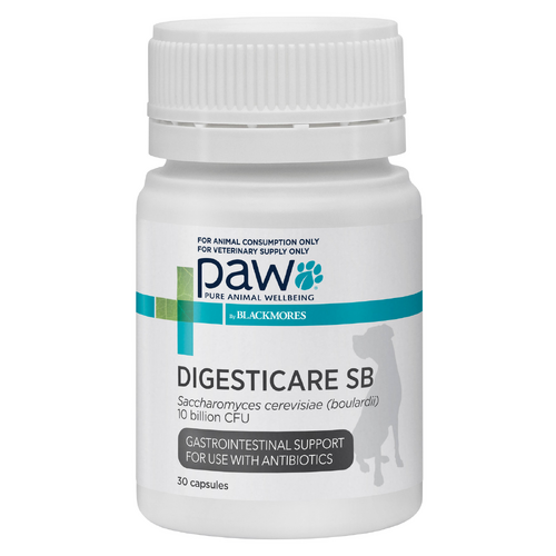 PAW DigestiCare SB - 30 Capsules 