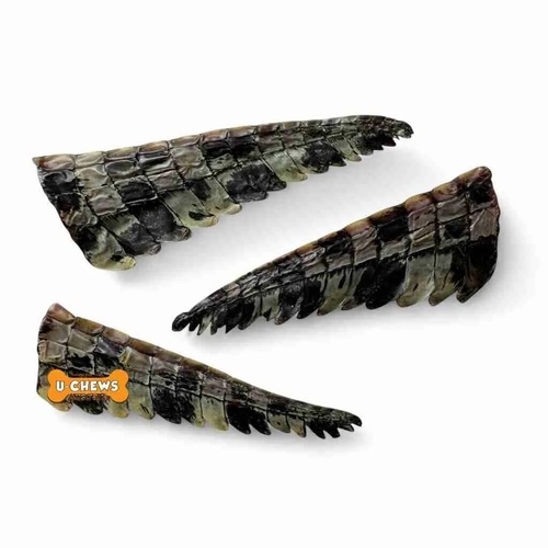 Crocodile Tail Tips - 1kg