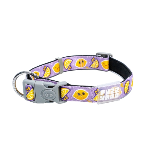 FuzzYard Dog Collar - Easy Peasy