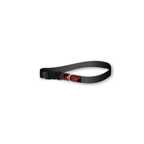 Black Dog Standard Dog Collar - Large(Black)