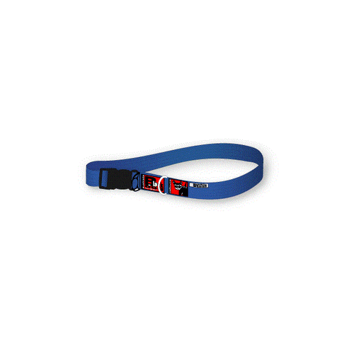 Black Dog Standard Dog Collar - Small (Black)