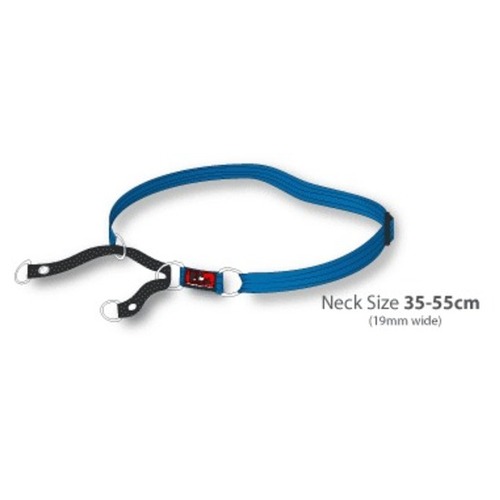Black Dog Training Collar - Heavy Duty - Large (Blue)