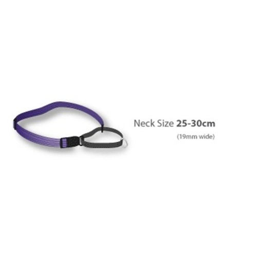 Black Dog Training Collar - Small (Black)