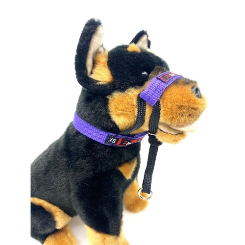 Black Dog Training Halter - Mini (Purple)