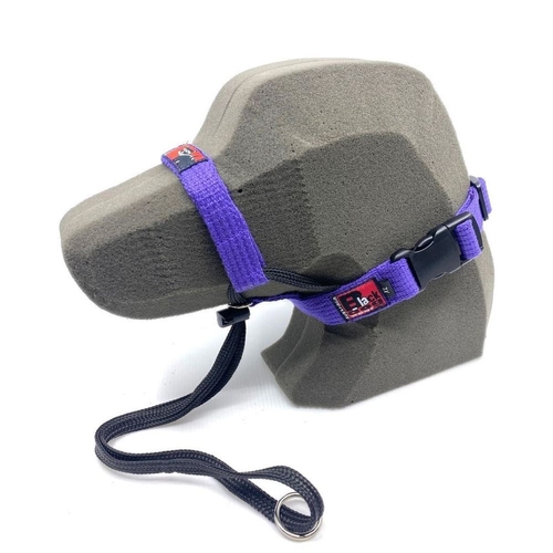 Black Dog Training Halter - X-Large (Purple)