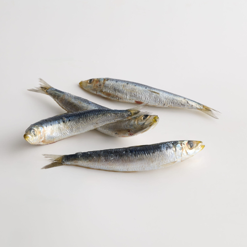 Canine Country Whole Sardines - 1kg
