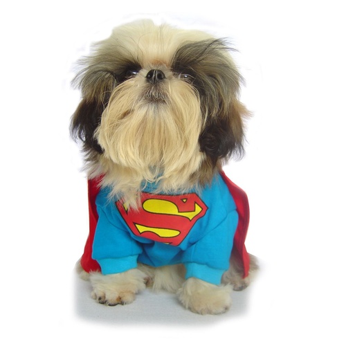 Superman Costume - Size 1 (X-Small)